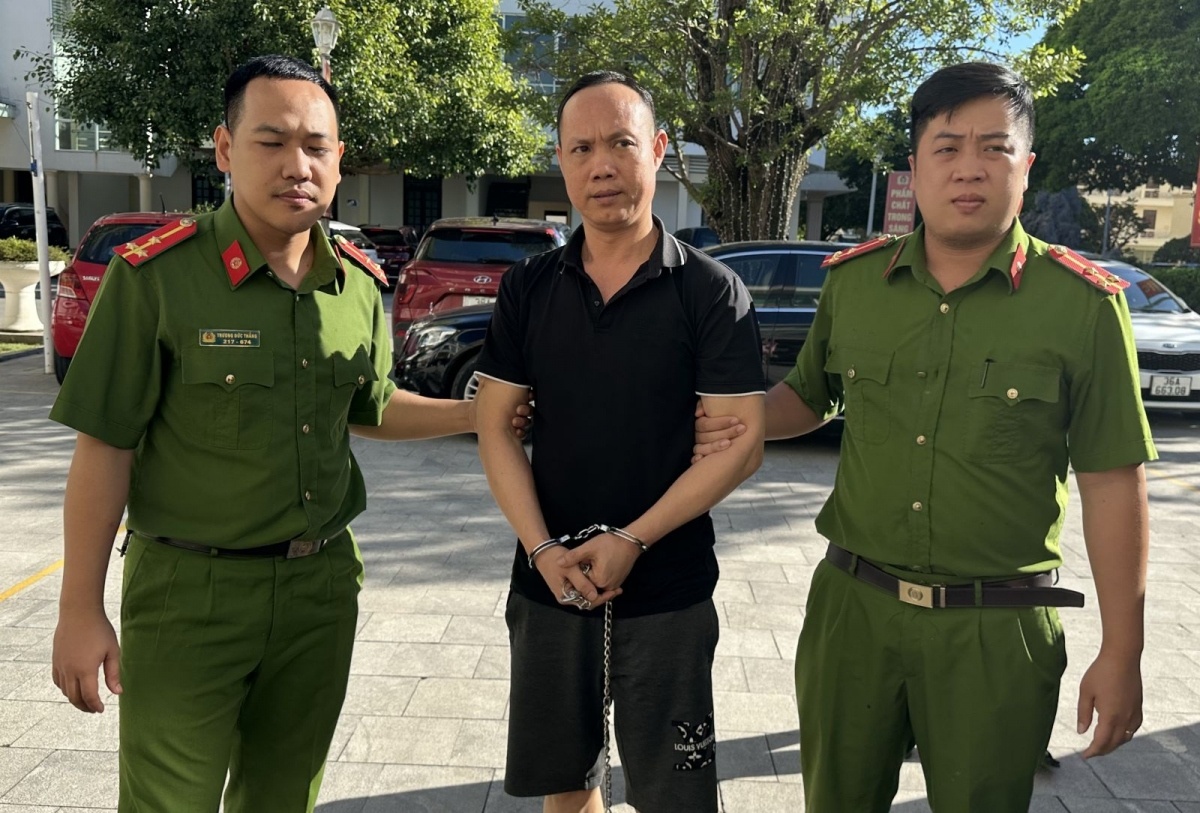hoạt động bảo kê ảnh 1 hoat dong bao ke anh 1