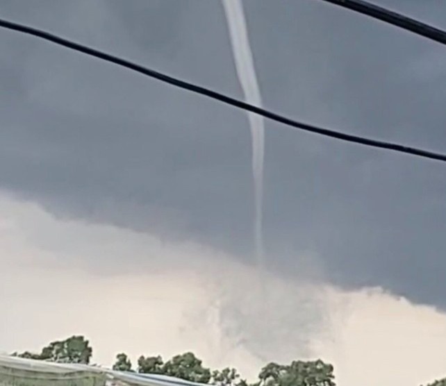 Voi rong xuat hien o Bac Lieu hinh anh