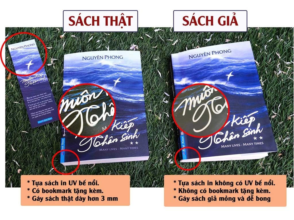 Chong sach lau anh 1