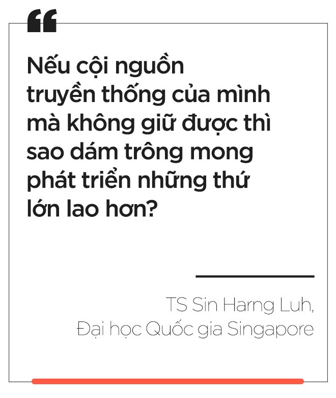 bo Tet,  gop Tet,  tai sao bo Tet anh 9