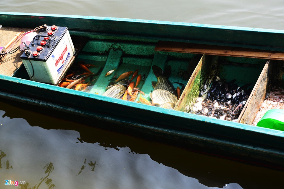 phong sinh dong vat, anh 2