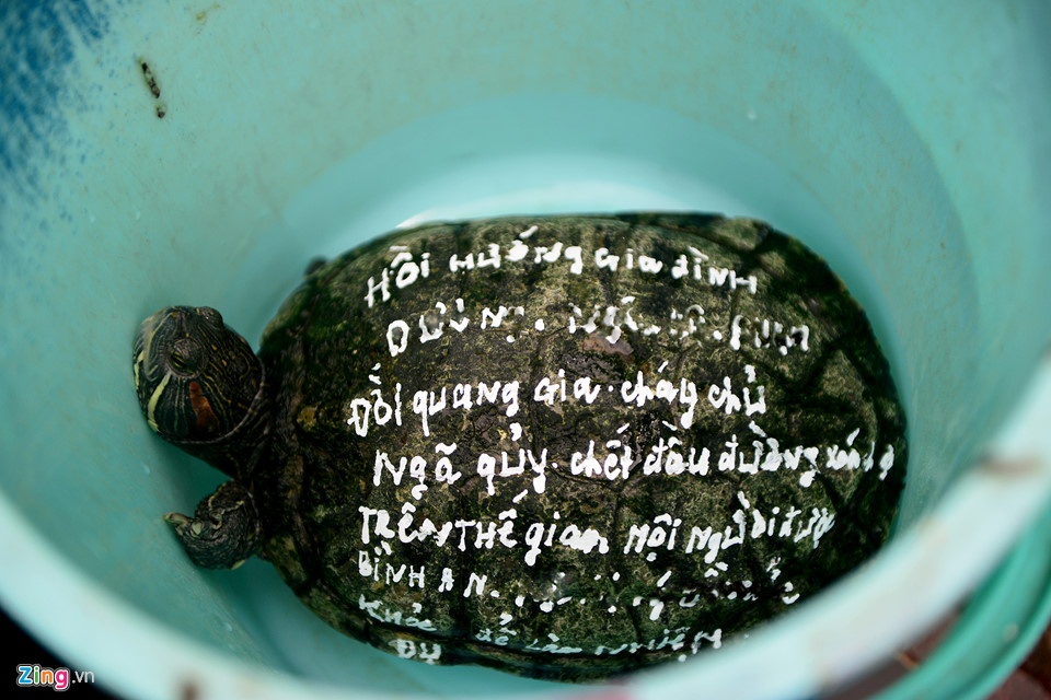 phong sinh dong vat, anh 3