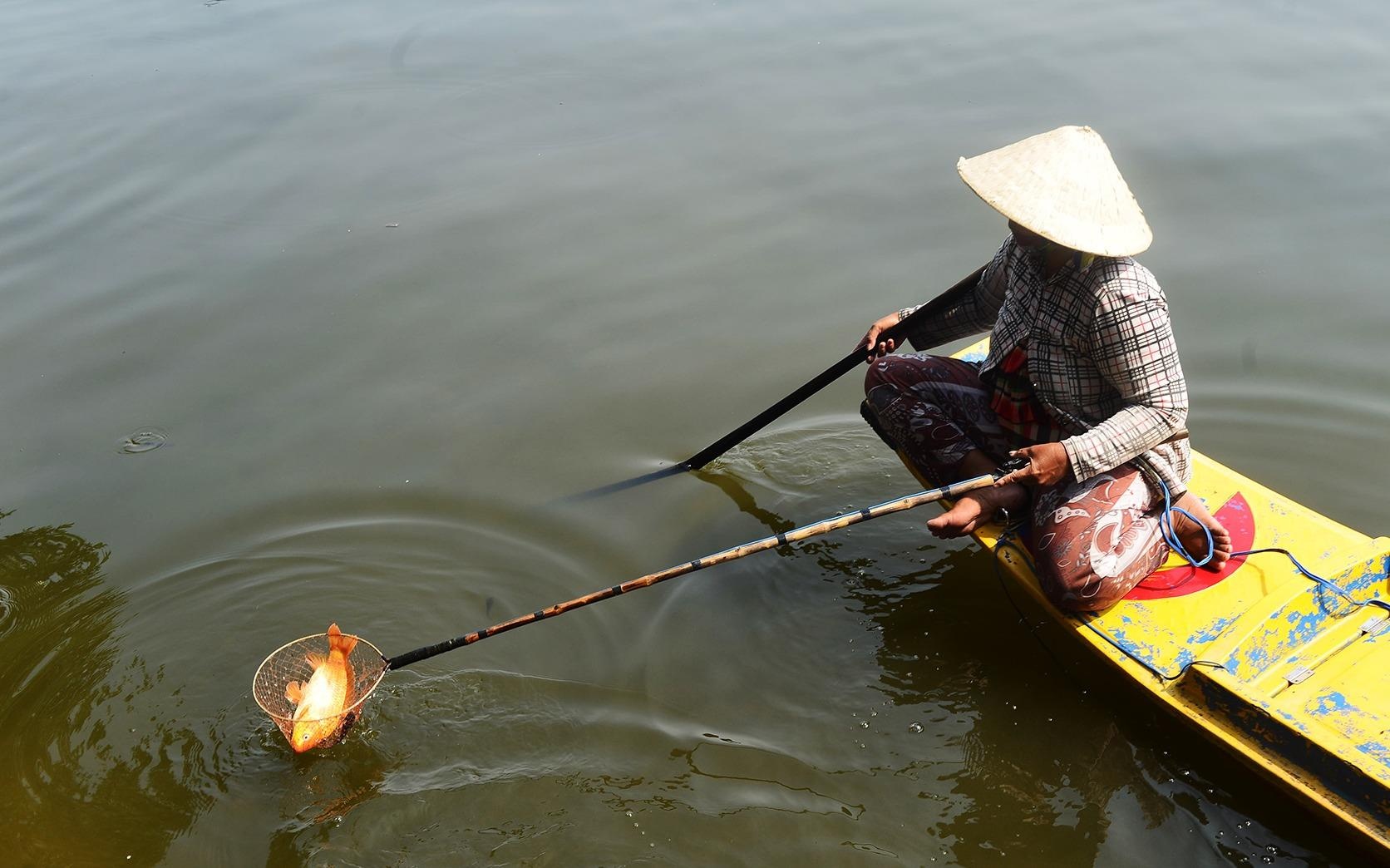 Kiem chac tu vat phong sinh la 'tan nhan' hinh anh