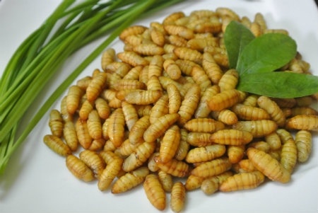 An han vi khong nghe loi bac si hinh anh