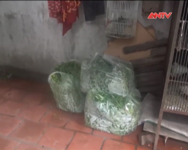 Rau ban tra tron vao sieu thi hinh anh