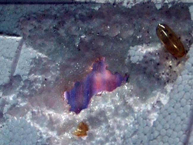 Thuc pham chuc nang Trung Quoc gay an mon mieng xop hinh anh