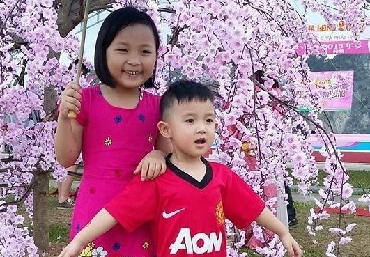 Lễ hội hoa anh đào ảnh 1 Le hoi hoa anh dao anh 1