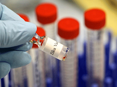 Tim ra cau truc cua virus zika anh 1