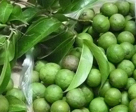 Loi ich bat ngo tu qua sau hinh anh