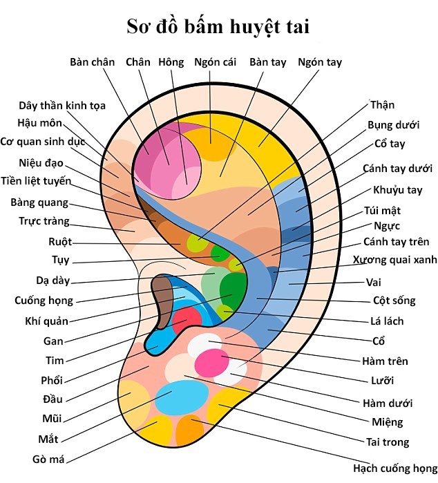 Thư giãn cơ thể bằng kẹp quần áo ảnh 2 Thu gian co the bang kep quan ao anh 2
