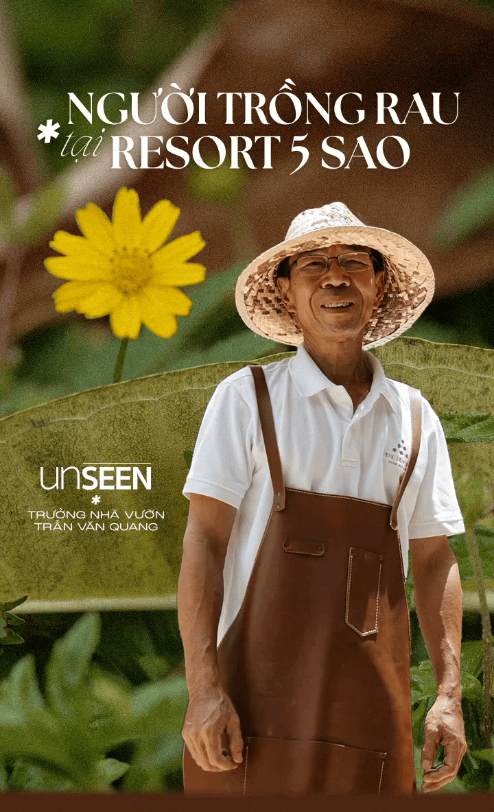 resort 5 sao ảnh 2 resort 5 sao anh 2