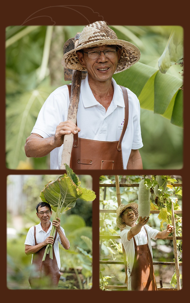 resort 5 sao ảnh 6 resort 5 sao anh 6