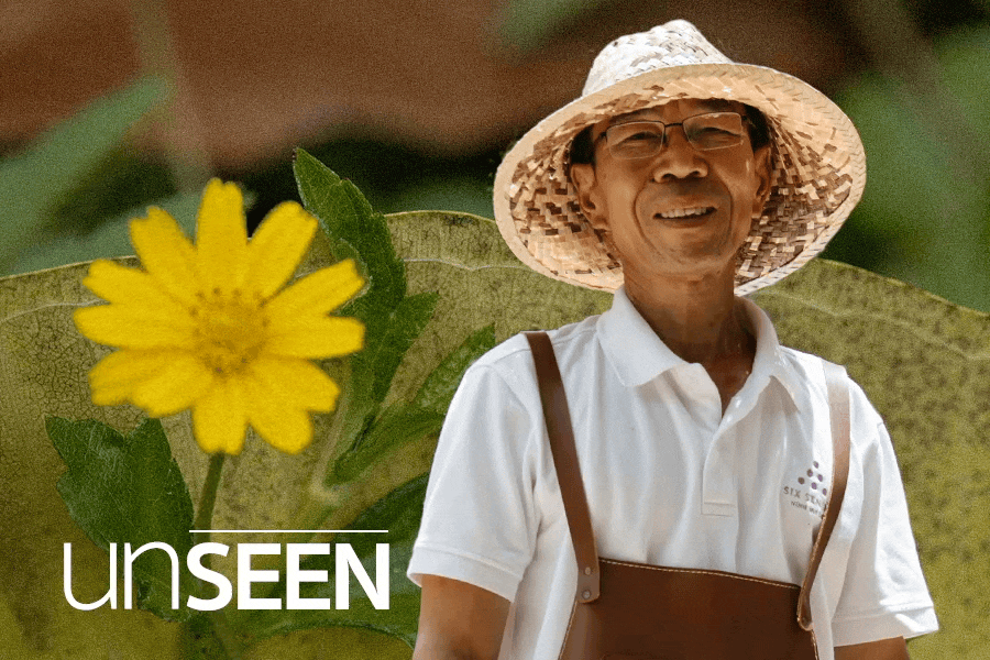 Nguoi trong rau tai resort 5 sao hinh anh