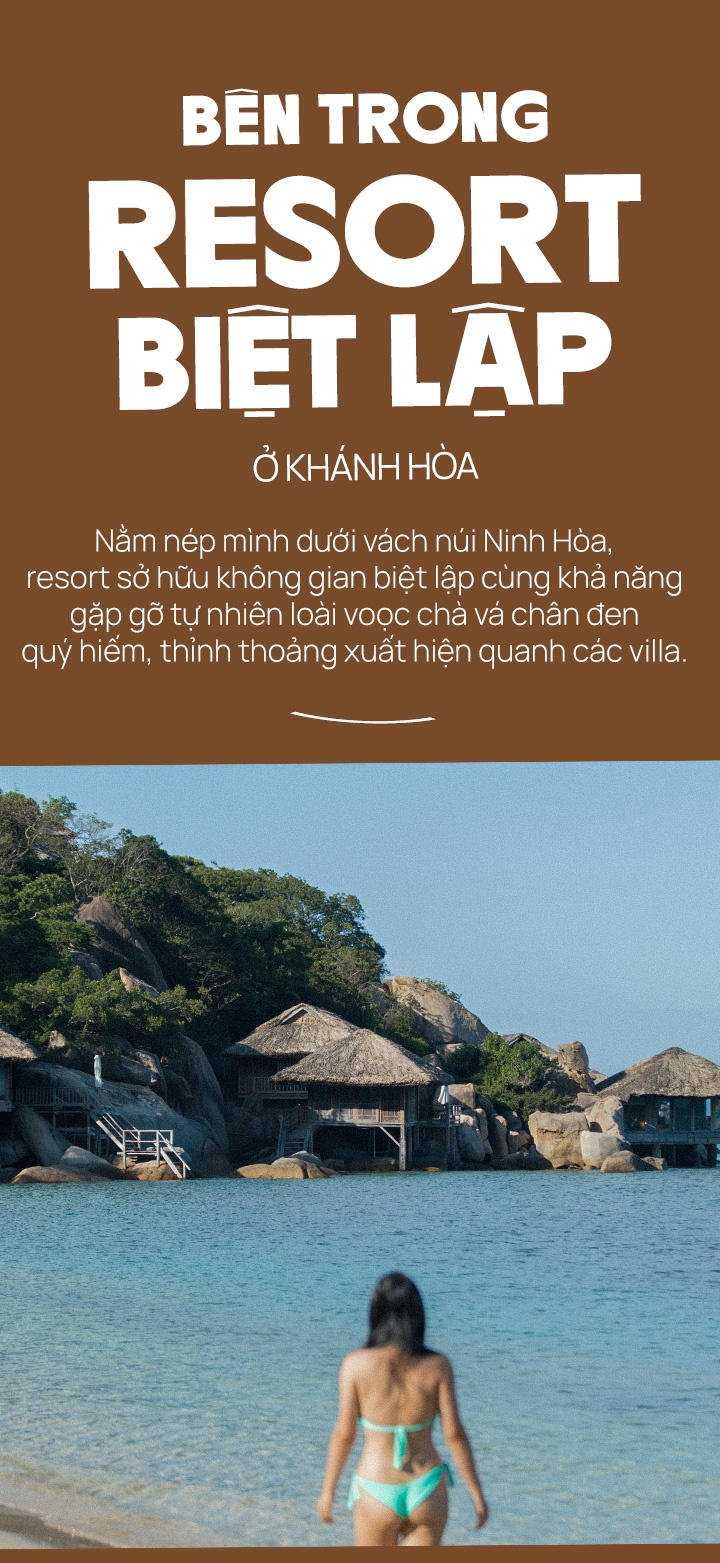 resort anh 2