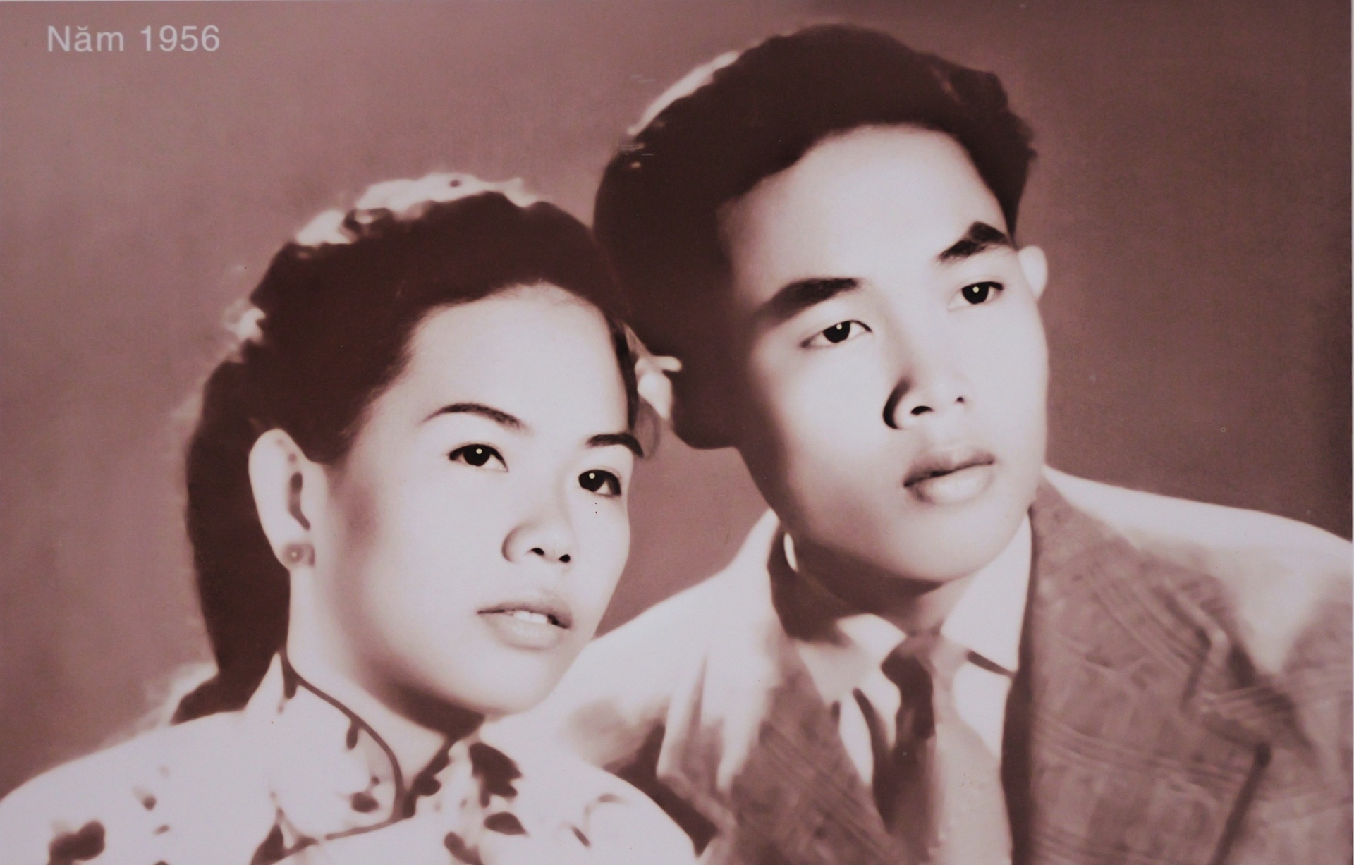 Biệt động ảnh 1