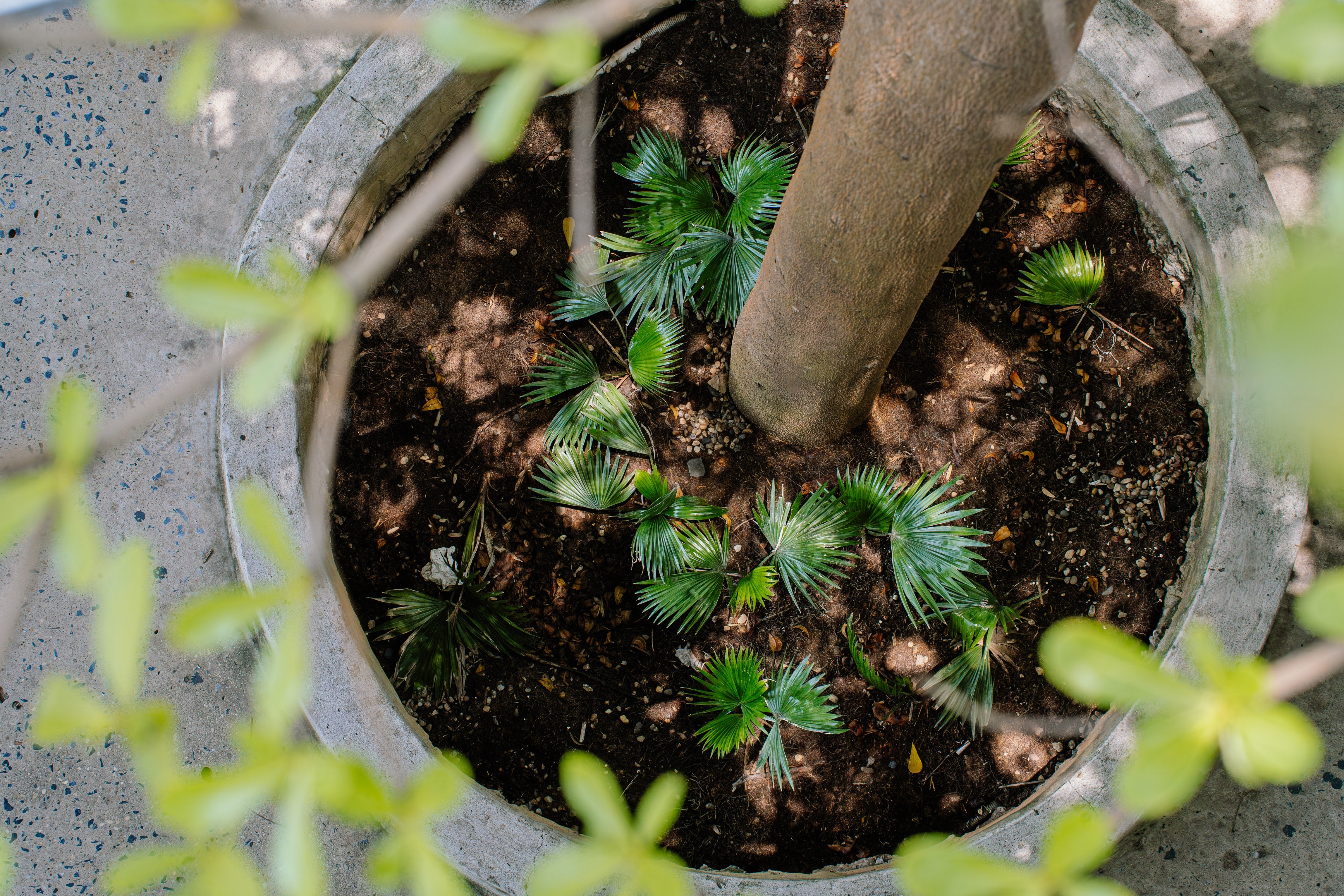 hầm trú ẩn ảnh 6 hầm trú ẩn ảnh 6