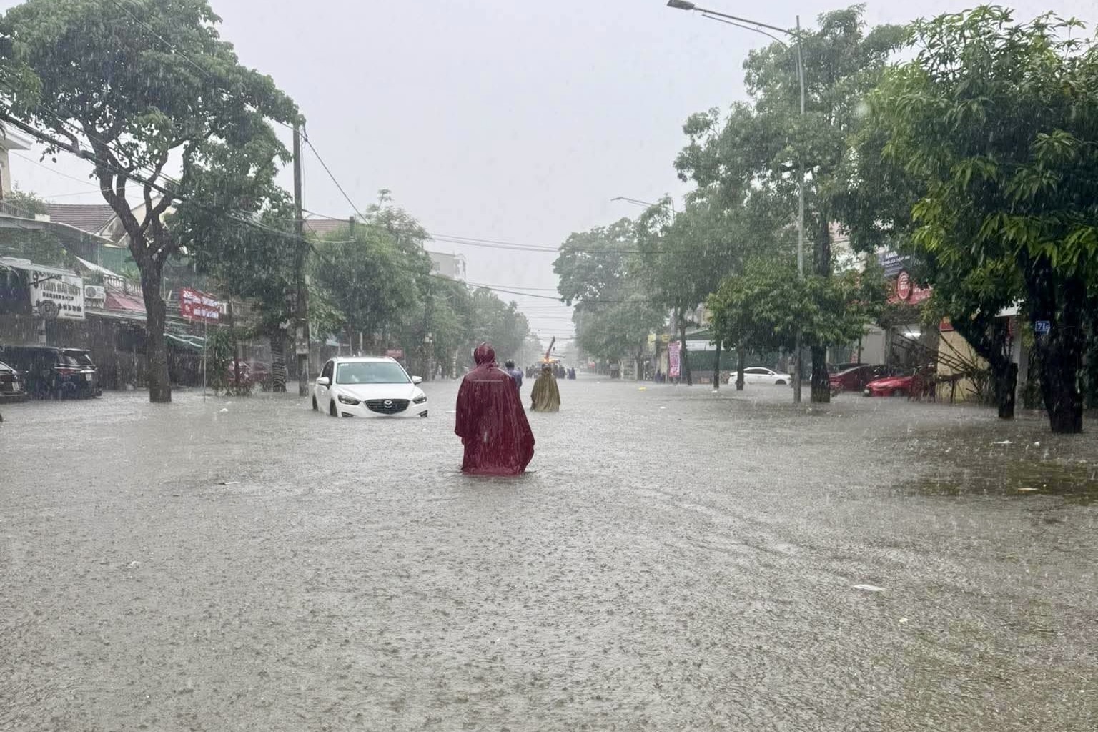 Vinh  ảnh 2
