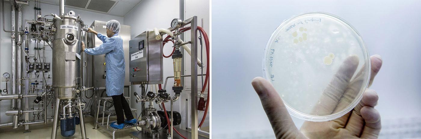 bien phap xu ly rac thai anh 7