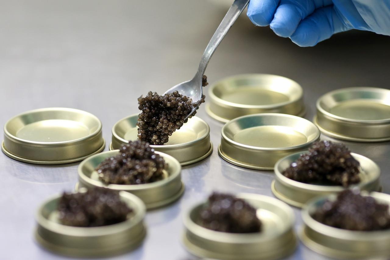 trứng cá muối Trung Quốc ảnh 3 trung ca muoi Trung Quoc anh 3