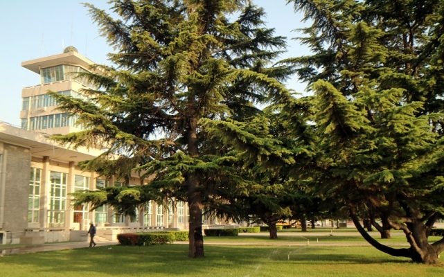 san bay lau doi nhat Trung quoc dong cua anh 4