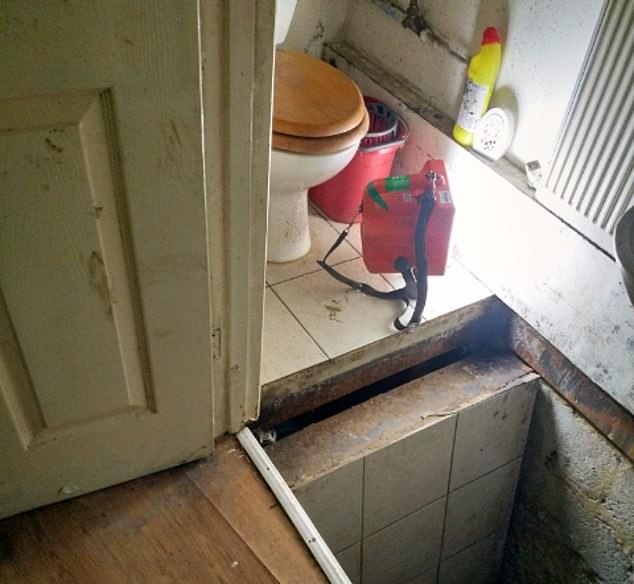 trang trại trồng cần sa ngầm ảnh 1 trang trai trong can sa ngam anh 1