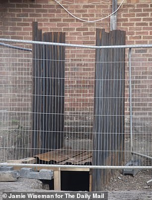 trang trại trồng cần sa ngầm ảnh 2 trang trai trong can sa ngam anh 2