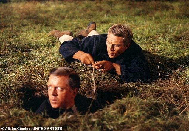 Phat hien trang trai can sa duoi long dat hinh anh