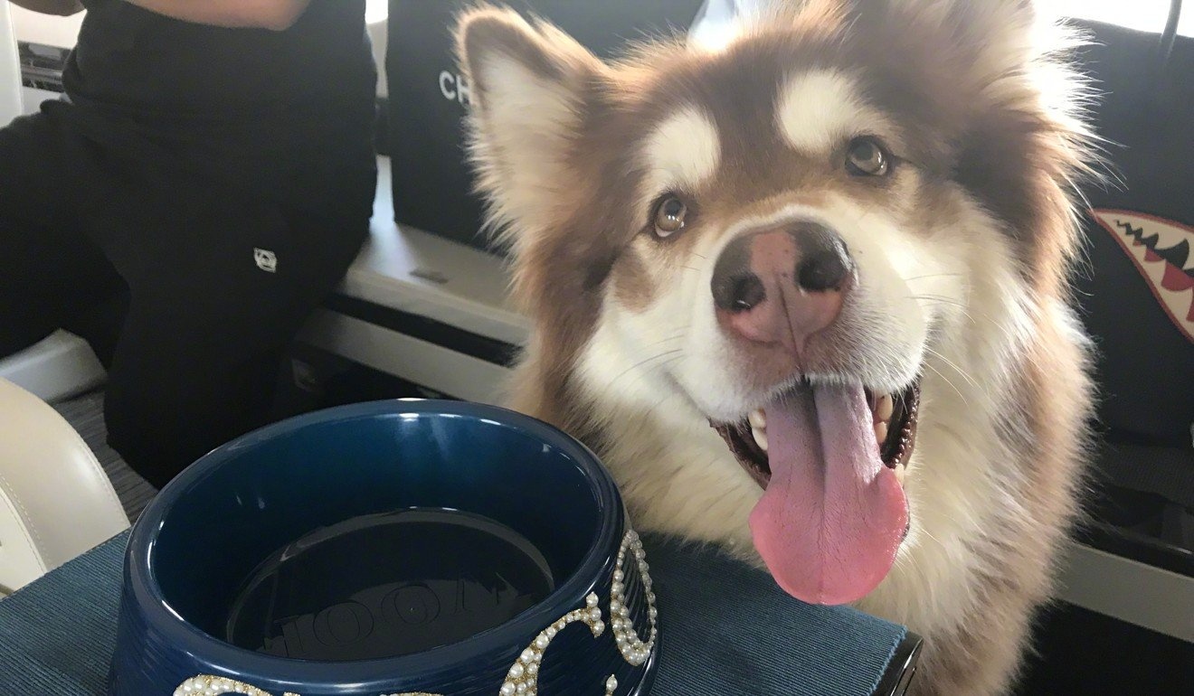 toa phan quyet thieu gia vuong tu thong anh 2