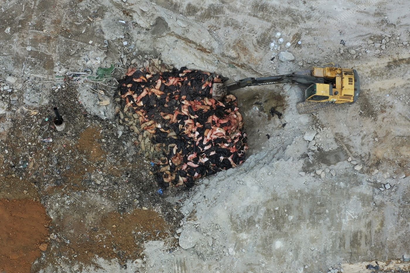 Trung Quoc nhan giong sieu lon anh 2