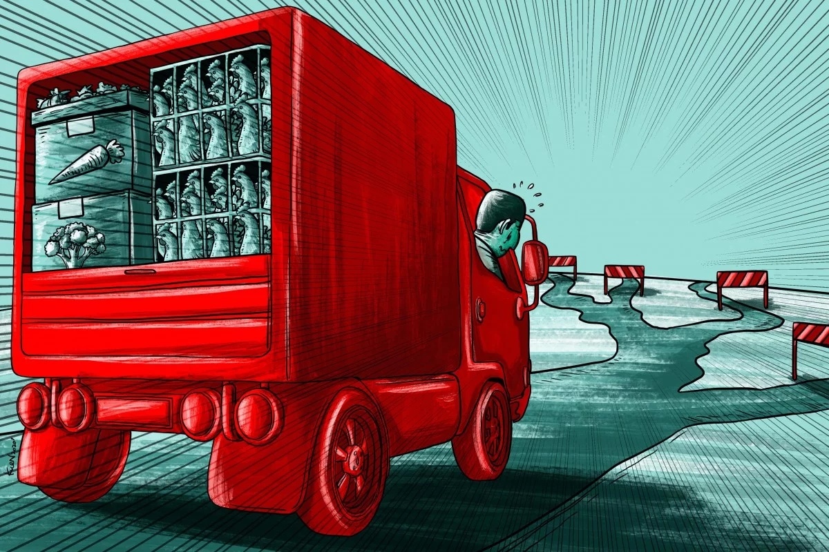 Hoa qua chin thoi khong nguoi thu hai,  khong nguoi mua khien dan Trung Quoc that thu nang ne anh 1