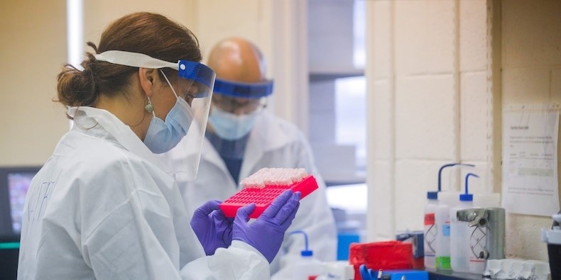 Thuoc xit mui co the chua Covid 19,  co phieu hang duoc tang 480% anh 1