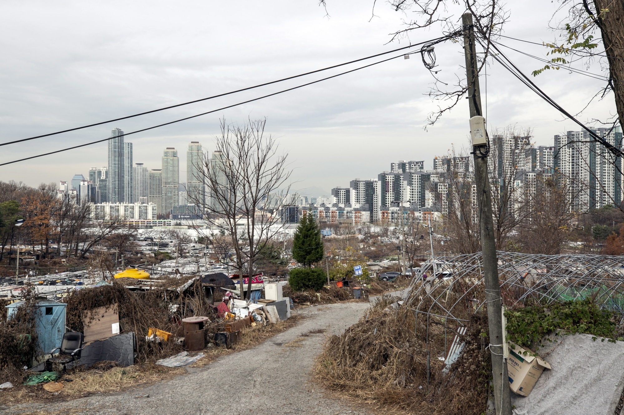 Cuoc chien doi tien den bu o khu o chuot canh Gangnam hoa le hinh anh