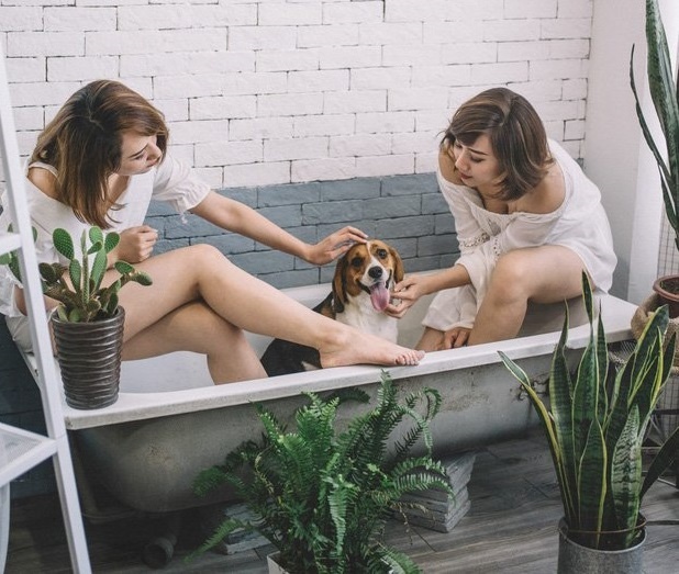 Chị em sinh đôi ảnh 3 Chi em sinh doi anh 3