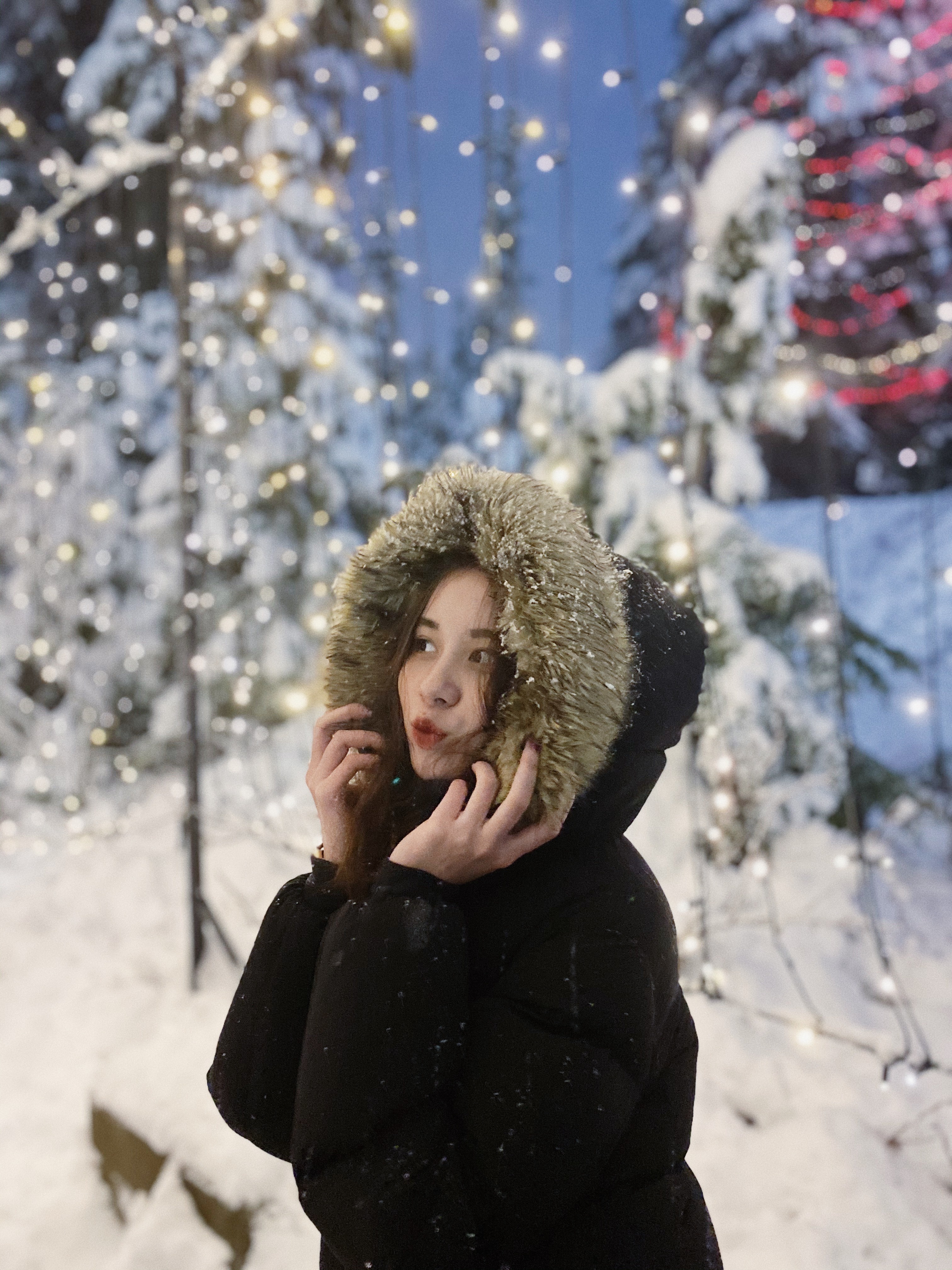 Hoa khoi hoc gioi anh 4