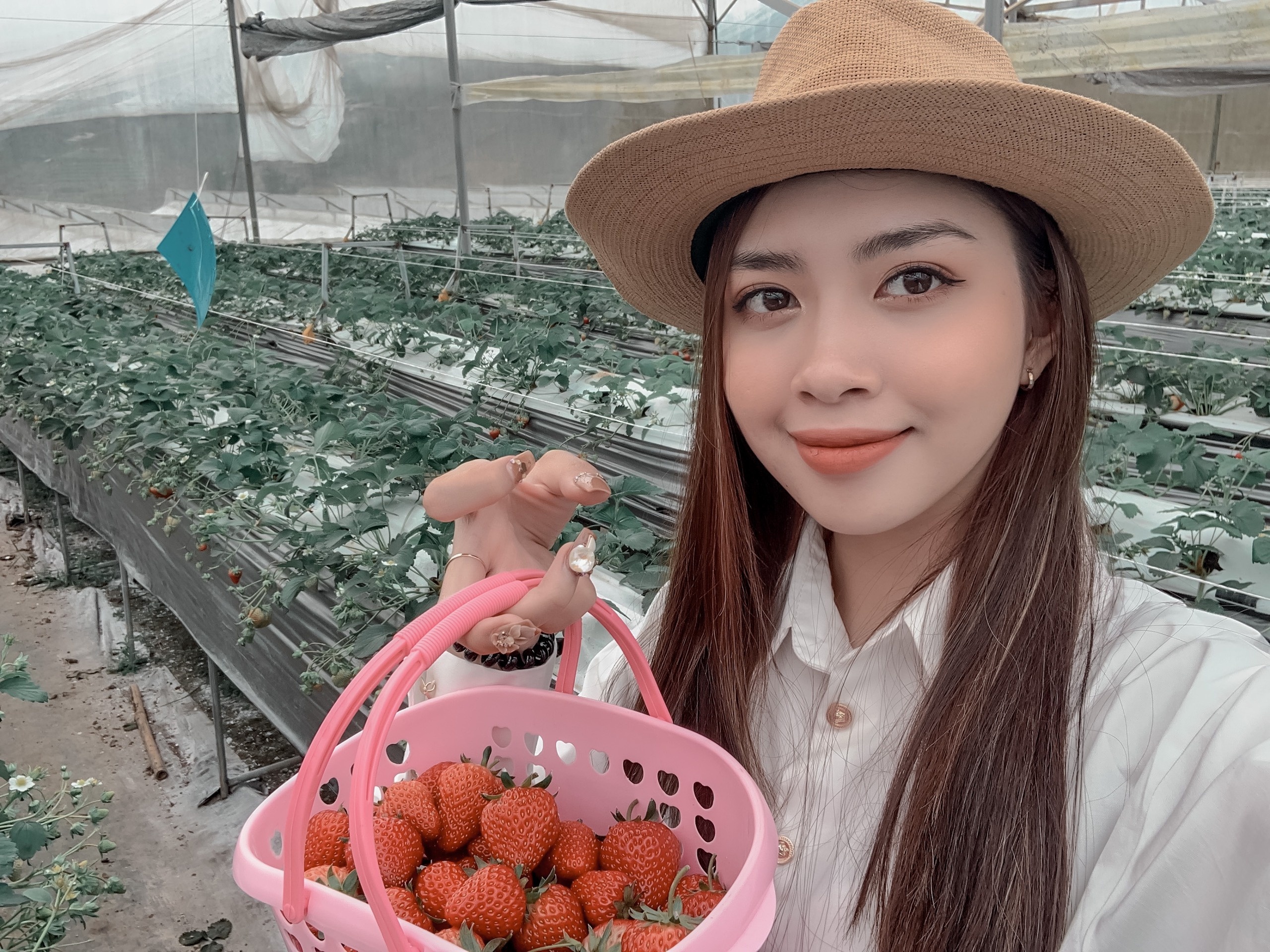 Hoa hậu Việt Nam ảnh 2 Hoa hau Viet Nam anh 2