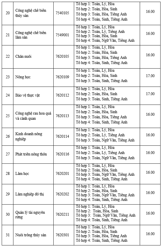 Diem san DH Nong Lam TP.HCM va DH Cong nghiep TP.HCM anh 3