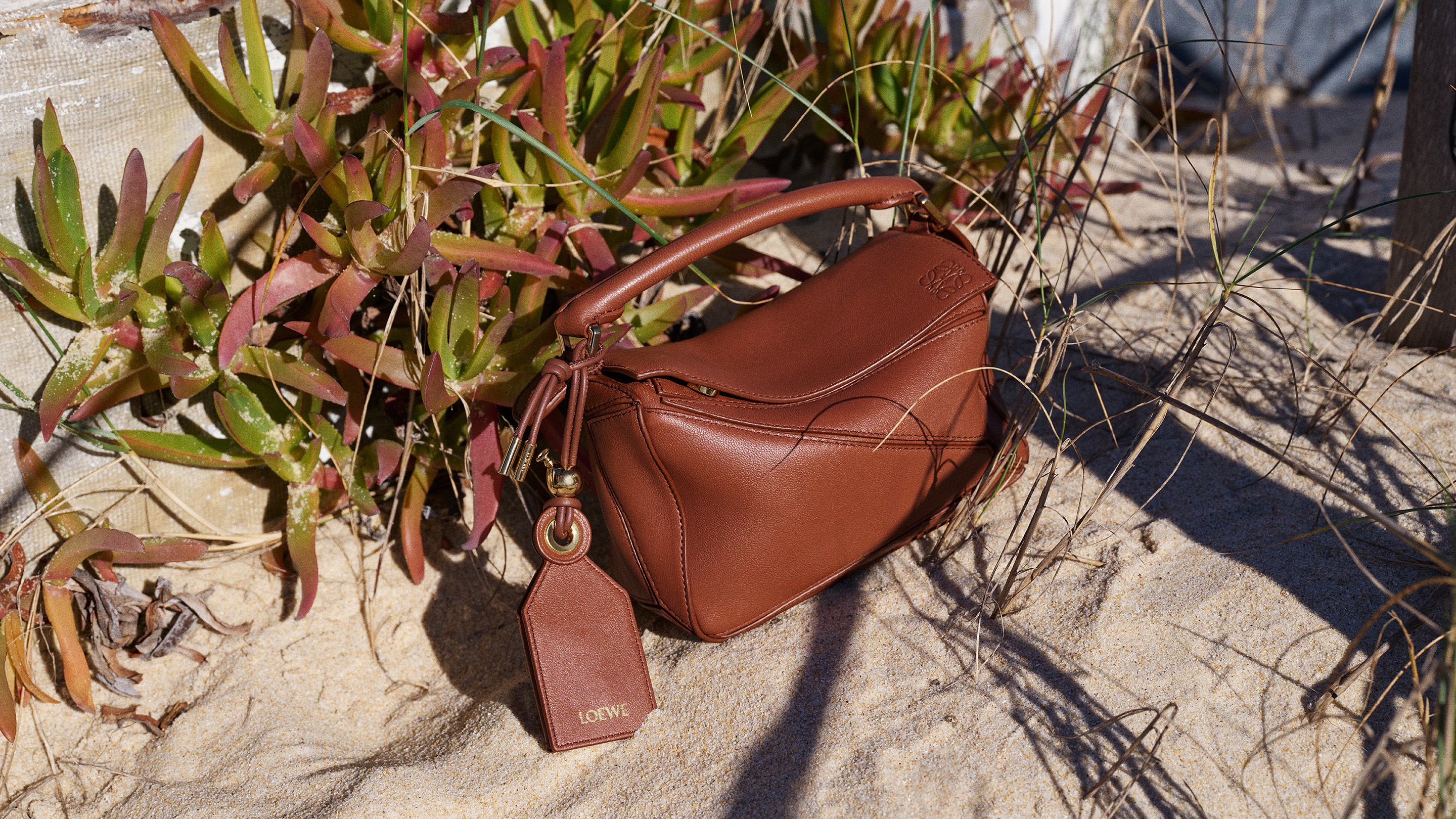 LOEWE_FW25_PAULAS_IBIZA_MAIN_CAMPAIGN_STILL_LIFE_sRGB_CROPPED_2880x1620_8.jpg