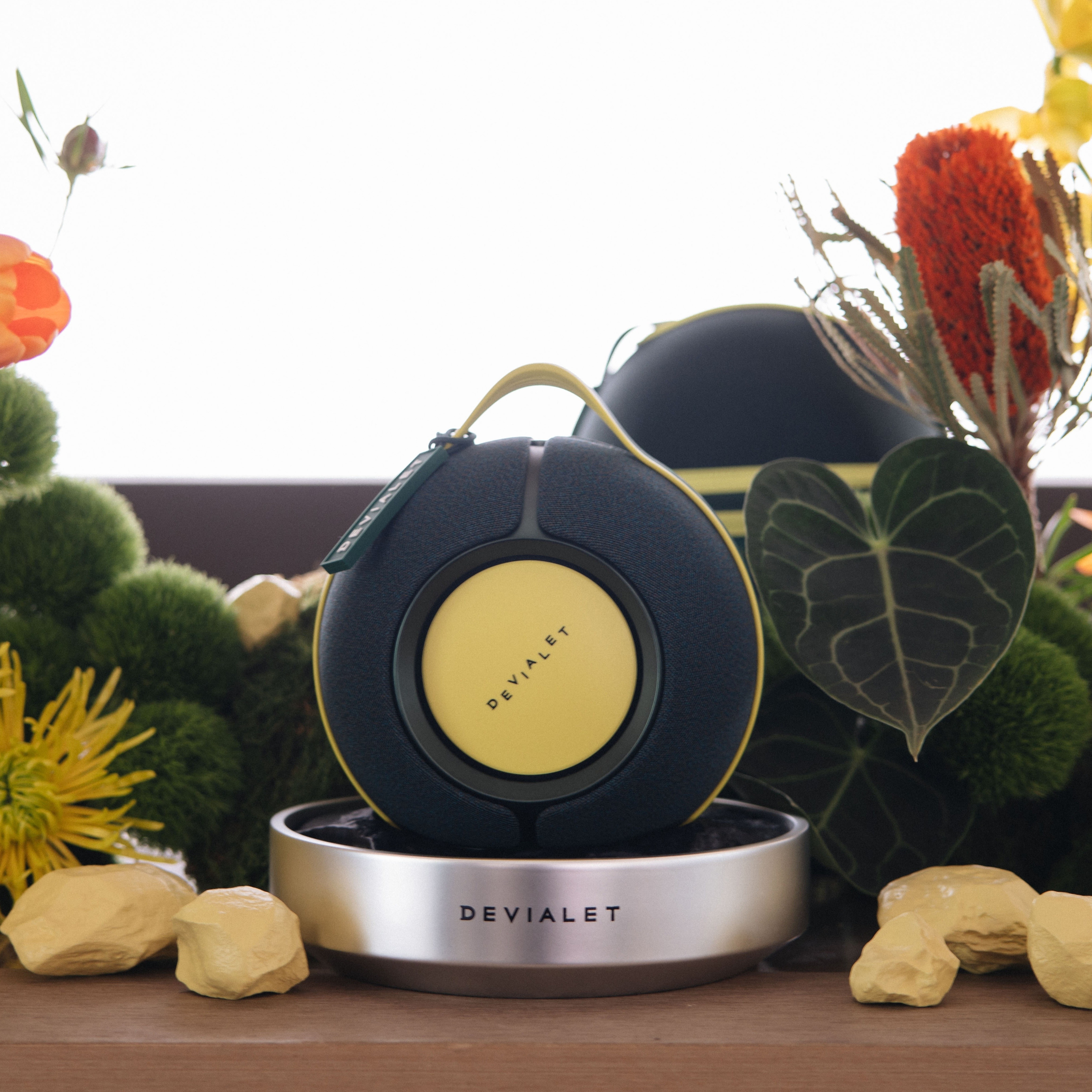 Devialet anh 7