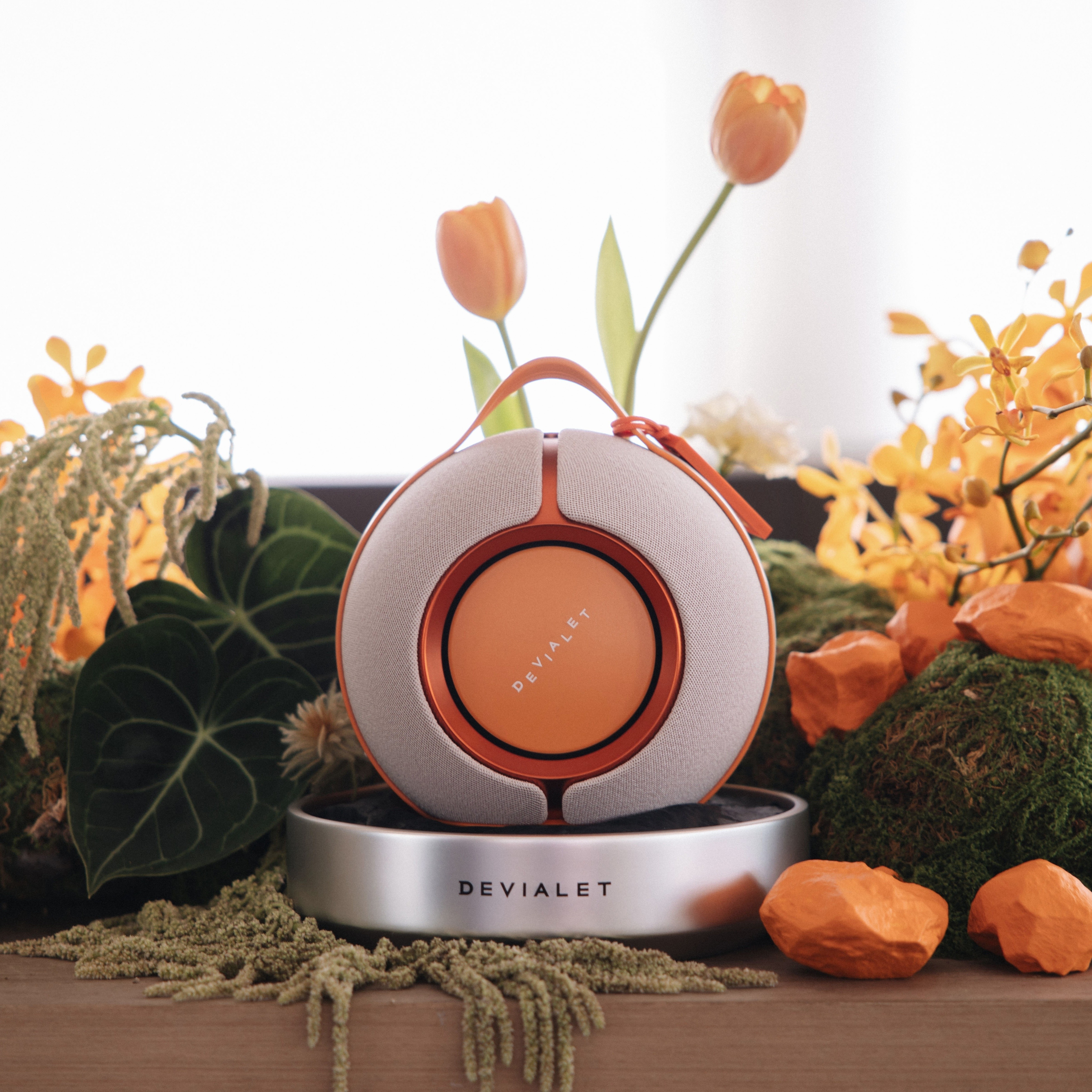 Devialet anh 8
