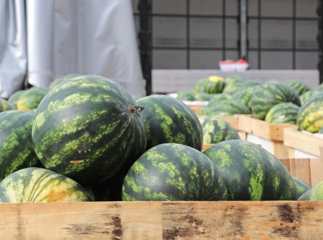 Nguoi dan Trung Quoc mua nha bang dua hau, dao, toi hinh anh