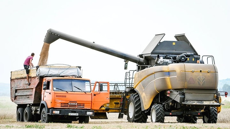 Khung hoang luong thuc anh 1