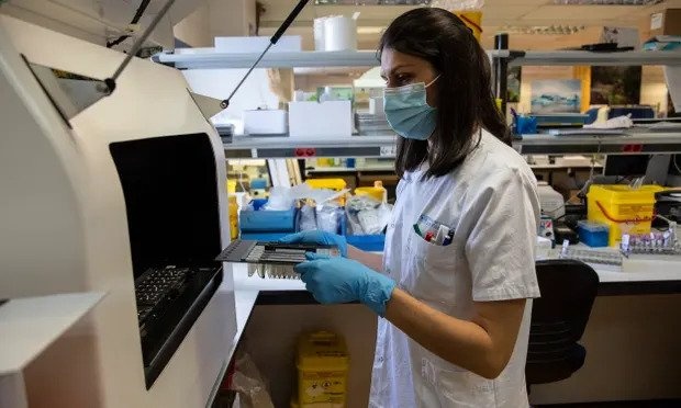 Benh dau mua khi o chau Au anh 1