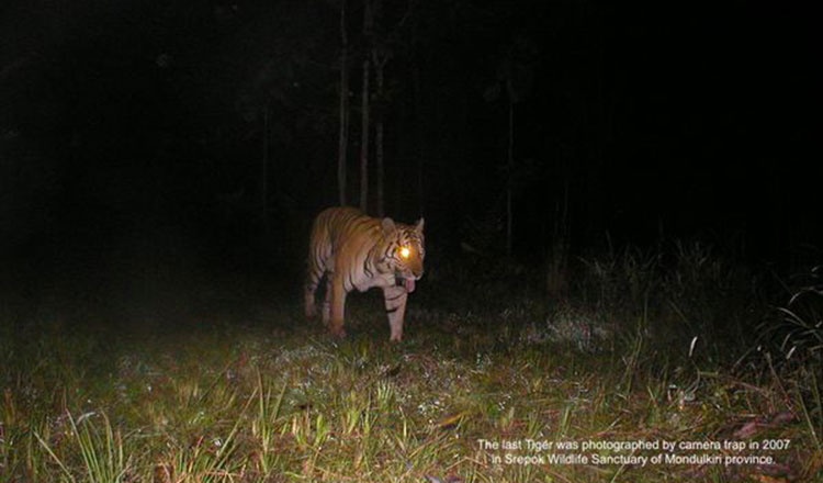 Campuchia nhap khau ho hoang da de bao ton anh 1