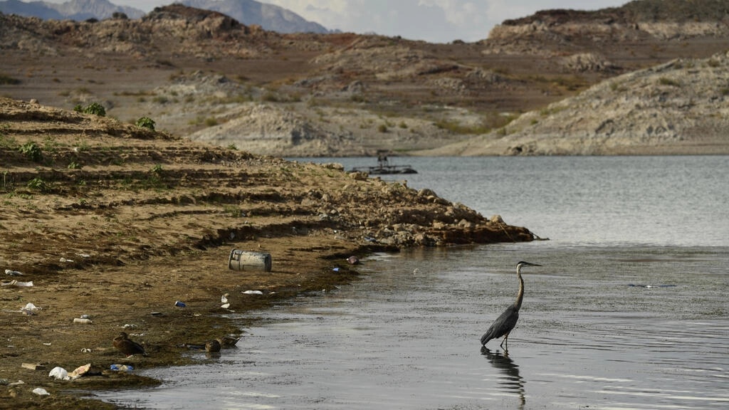 Mien Tay nuoc My han han nang nhat 1.000 nam, cac bang bi cat nuoc hinh anh