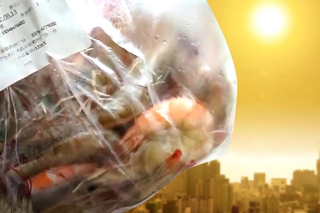 Tom tuoi song bi 'chin do' khi mang tu sieu thi ve nha giua nang gat hinh anh