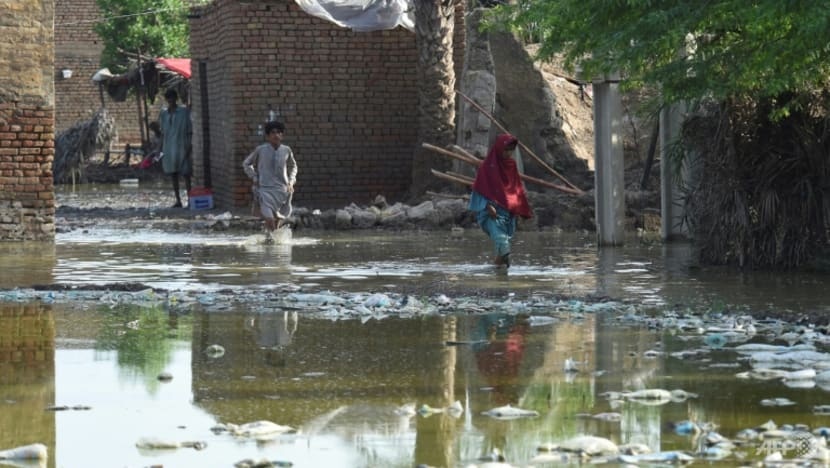 Lu lut o Pakistan anh 1