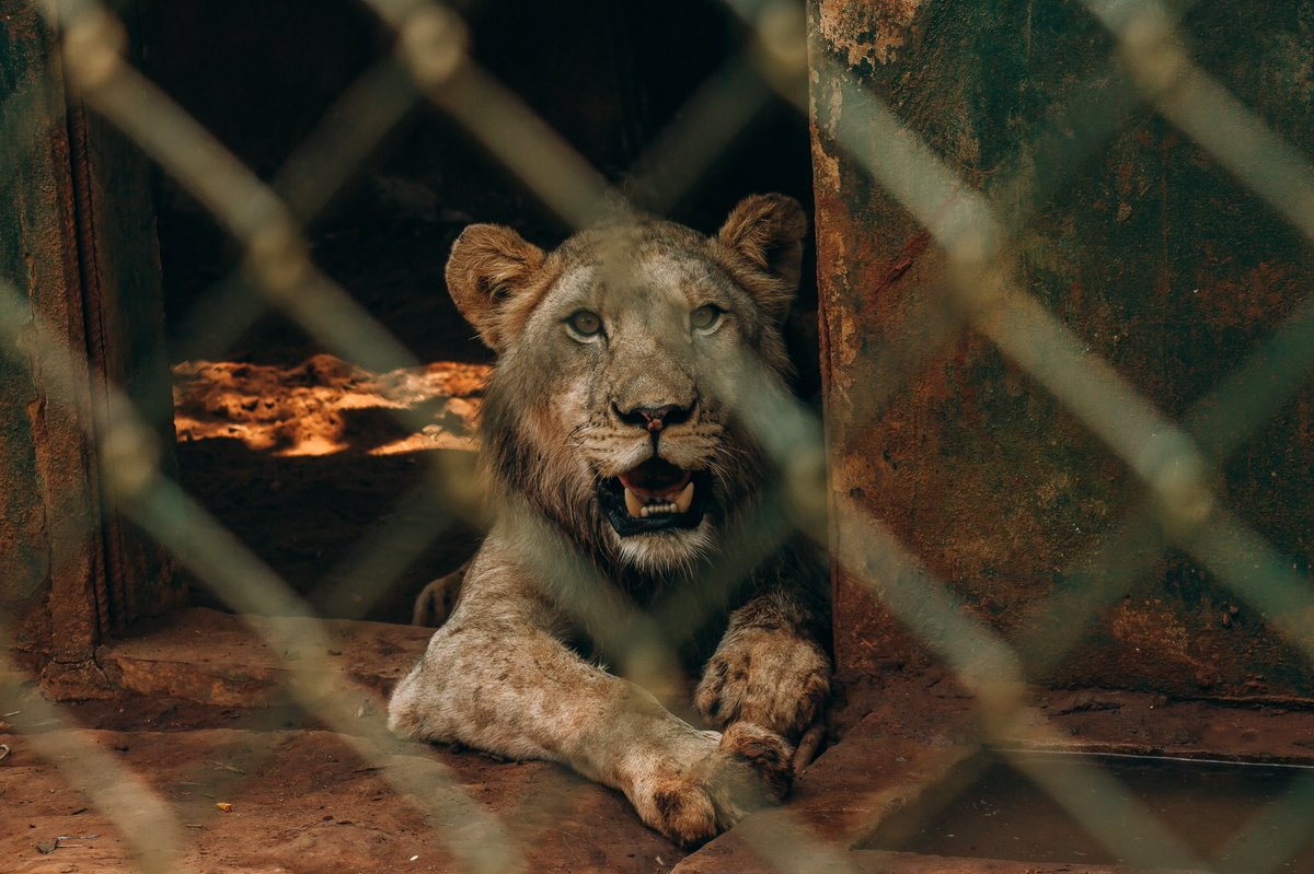 Su tu tan cong nguoi anh 1