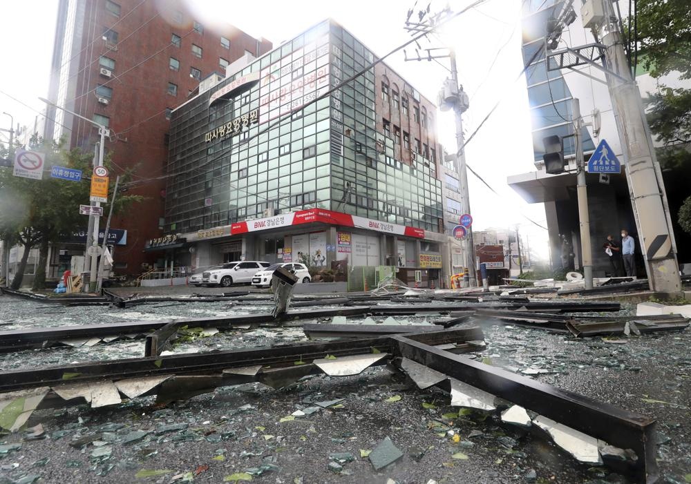 Sieu bao tai Han Quoc anh 5