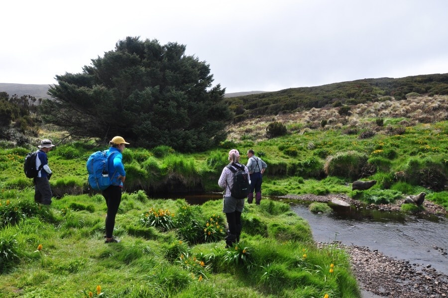 'Cay co don nhat the gioi' nam giu bi mat lon hinh anh