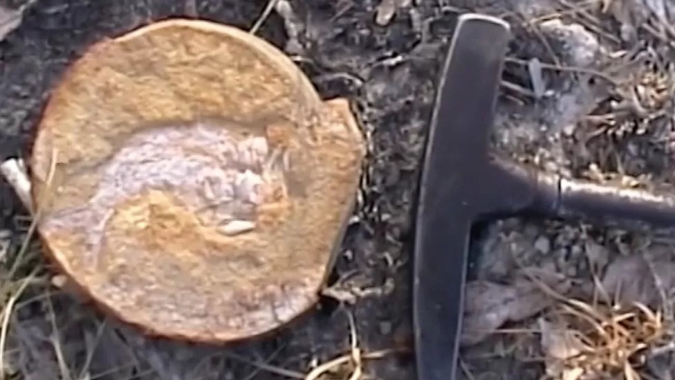 Hoa thach ca tien su anh 1